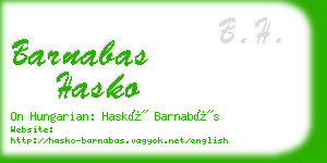 barnabas hasko business card